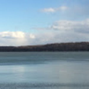 Meet your Posher, Yanni